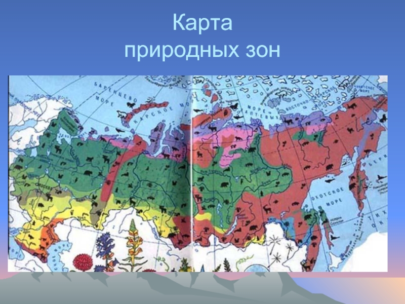 Перечислите природные зоны поволжья. Карта природных зон. Карта природных зон России. Карта карта природных зон. Название природных зон России.