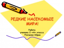 Редкие насекомые мира