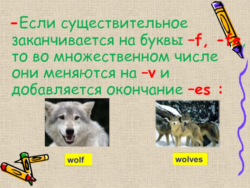 Wolf множественное число. Существительные кончающиеся на я. Животные во множественном числе заканчивающиеся на и. Существительное заканчивается на ник. Существительное, которое заканчивается на ль.