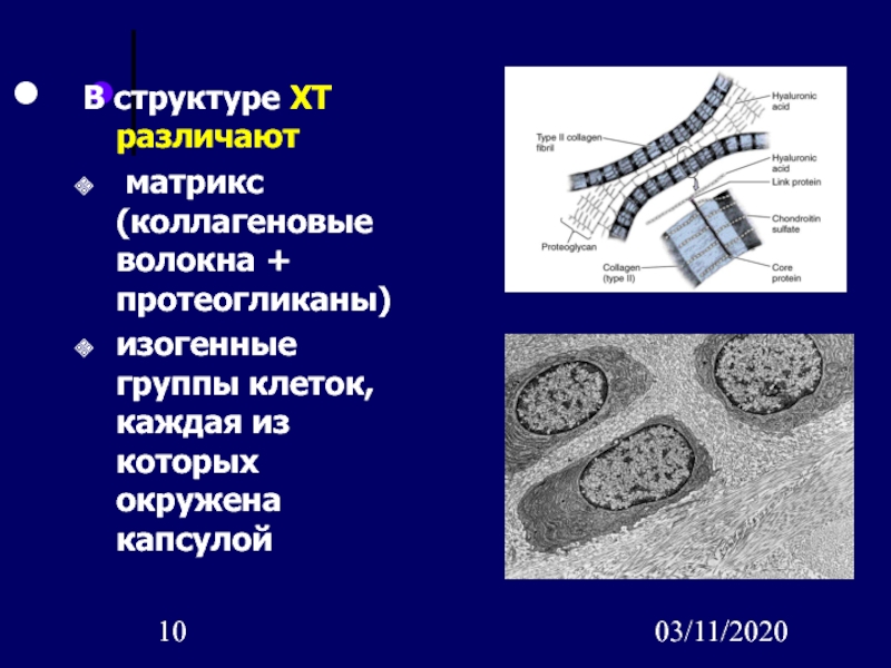 Группы клеток