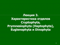 1
1
1
1
Лекция 3.
Характеристика отделов С ryptophyta,
Prymnesiophyta (