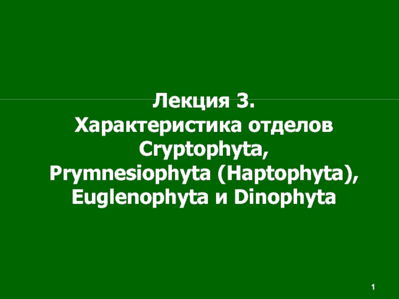 1
1
1
1
Лекция 3.
Характеристика отделов С ryptophyta,
Prymnesiophyta (