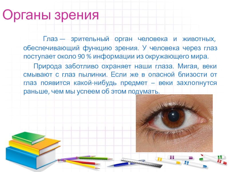 Презентация 3 класс органы чувств плешаков. Сообщение о зрении. Органы зрения человека. Органы чувств человека глаза орган зрения. Органы зрения глаза доклад.