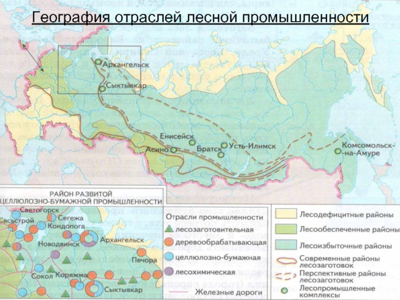 Какие отрасли лесной промышленности. Карта Лесной промышленности России. География Лесной промышленности России. Предприятия Лесной промышленности география. География размещения Лесной промышленности.