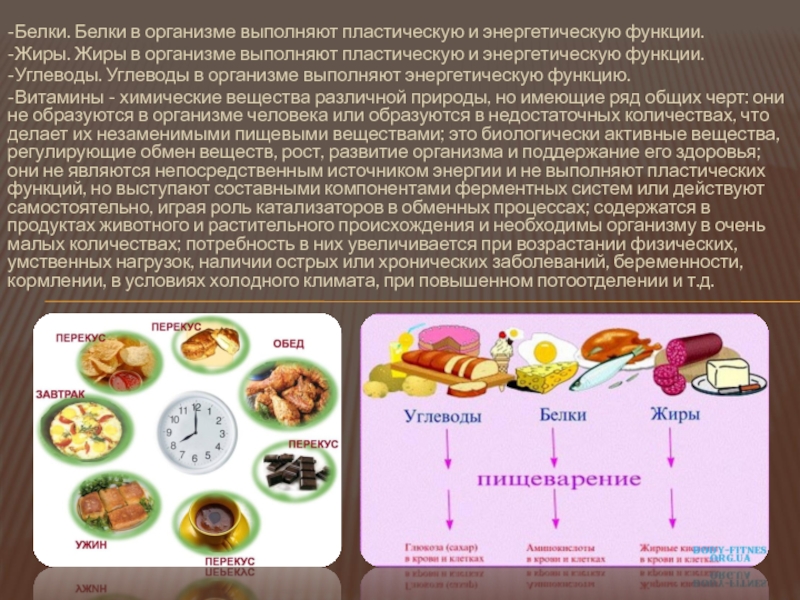 Как определить белки