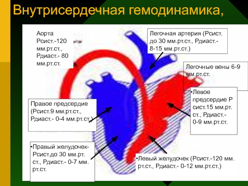 Внутрисердечная гемодинамика. Внутрисердечная гемодинамика в норме. Гемодинамика сердца в норме. Нарушение внутрисердечной гемодинамики.