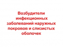 Возбудители инфекционных заболеваний наружных покровов и слизистых оболочек