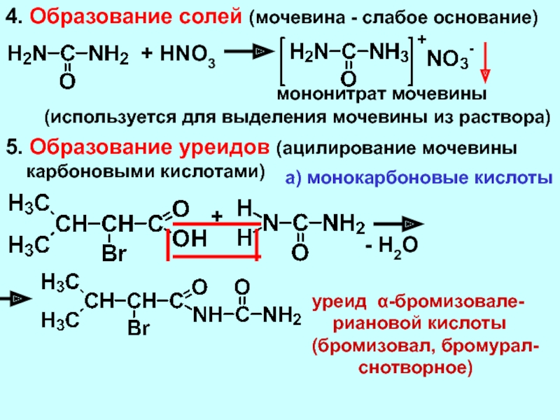 Мочевина и мочевая кислота