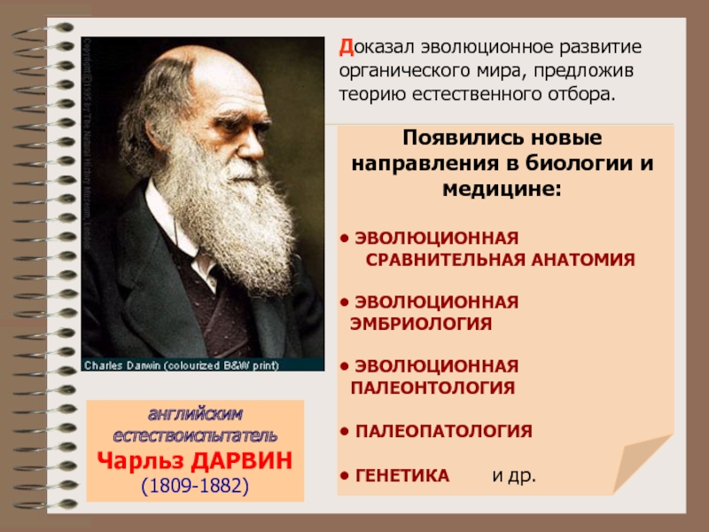 Мир предложил. Эволюционная анатомия. Чарльз Дарвин сравнительная анатомия. Сравнительной и эволюционной эмбриологии. Теория Дарвина естественный отбор.