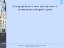 Демографическая основа формирования и функционирования рынка труда