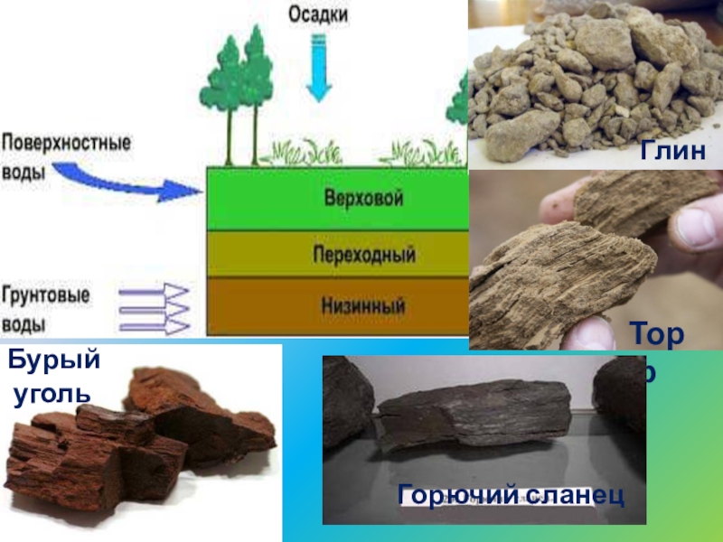 Процесс образования какой горной породы показан на рисунке