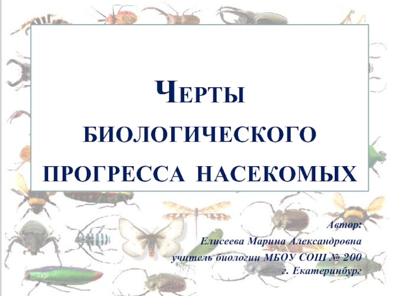 Биологический прогресс насекомых. Биологические черты. Черты прогресса биология. Признаки биологического прогресса.
