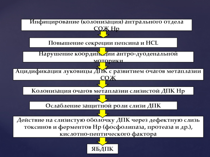 Язвенная болезнь желудка патофизиология презентация