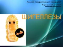 ШИГЕЛЛЕЗЫ
Тульский государственный университет
Медицинский институт
Лечебный