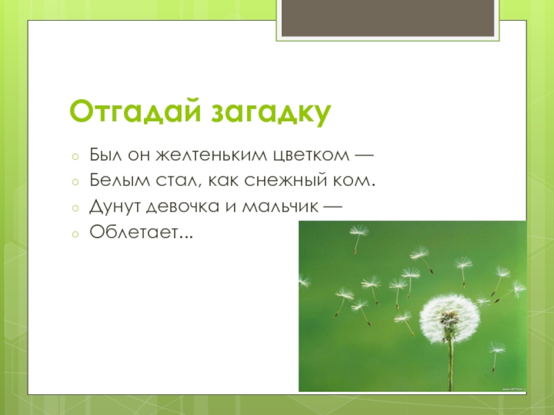 Презентация загадки. Биологические загадки и отгадки. Загадки о живых организмах. Загадки о биологических науках. Загадки по биологии с ответами.