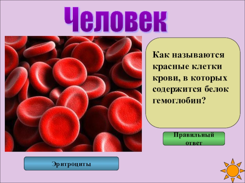 Красные кровяные клетки. Красные кровяные клетки называются. Клетки крови название. Как называется клетка кро. Красными кровяными клетками крови.