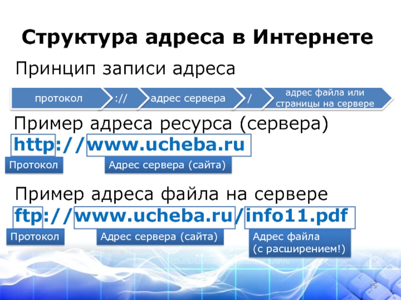 Адрес файла в интернете последовательность. Структура адреса в интернете. Структура сети интернет адресация. Структура адреса Internet. Структура адресации в интернете.