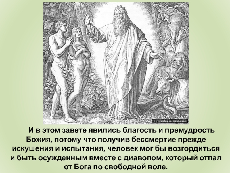 Православное учение о церкви. Искушение и испытание. Испытания и искушения картинки. Исысхристос испытание и искушение.