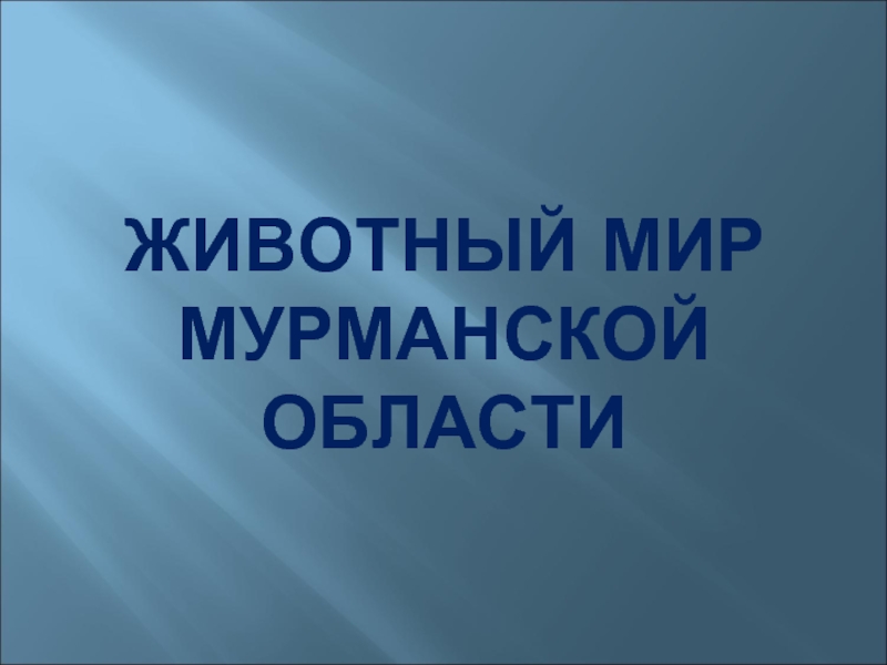 Презентация Животный мир Мурманской области