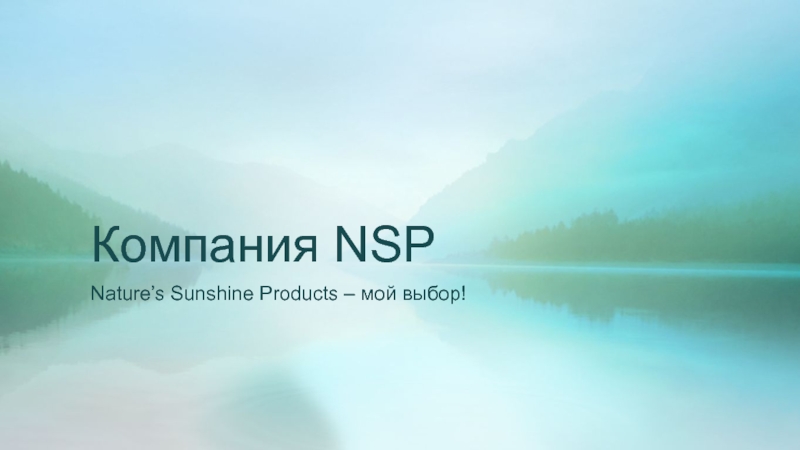 Компания NSP