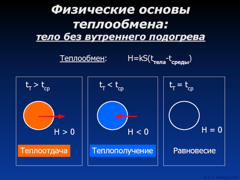 Теплообмен тепловое равновесие. Теплообмен. Основы теплообмена. Процесс теплообмена. Теплообмен физика.