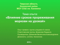 Влияние сроков прореживания моркови на урожай