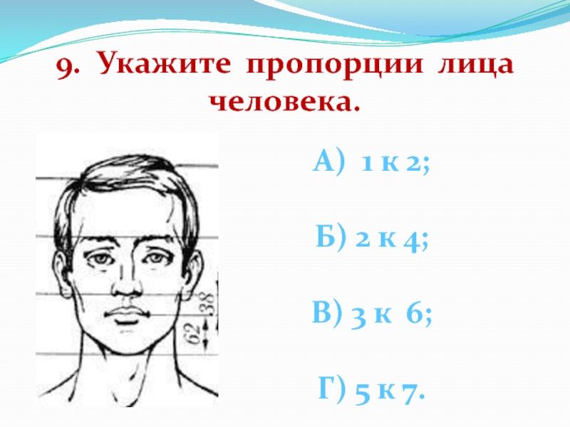 Как определить образ человека. Пропорции лица взрослого человека. Пропорции лица человека 4 класс. Пропорции лица человека с 3. Соразмерность лица.