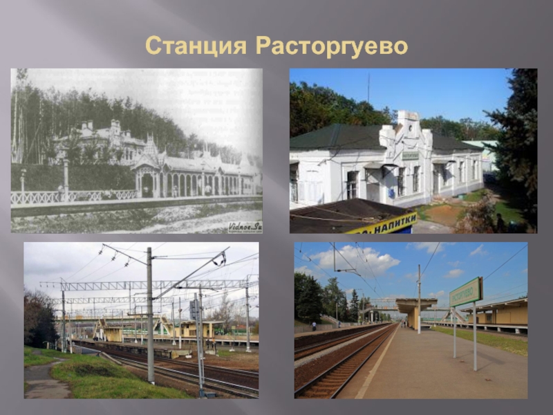 Станция Расторгуево