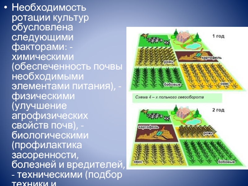 Реализация схем севооборотов