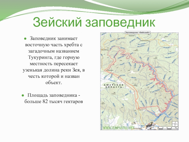 Презентация особо охраняемые природные территории амурской области