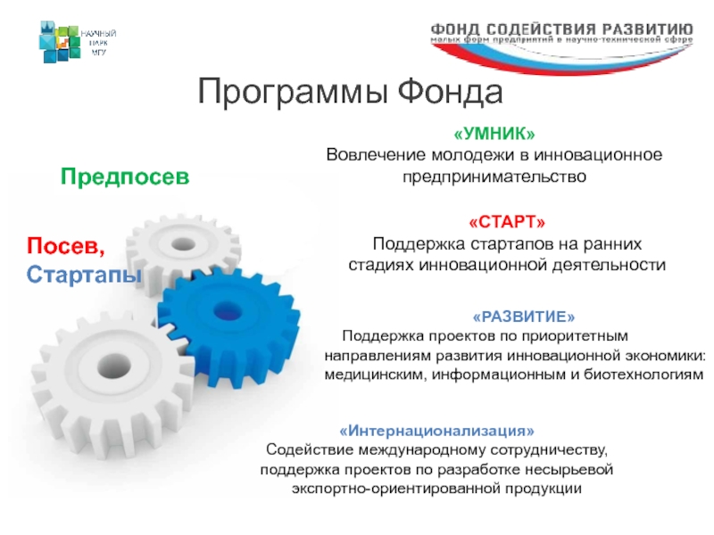 Проект вовлечение молодежи в предпринимательскую деятельность