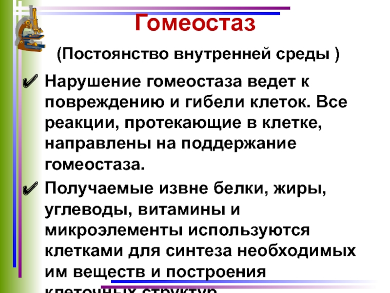 Постоянство внутренней среды