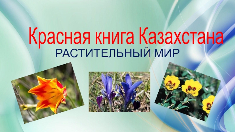 Растения Красной книги Казахстана