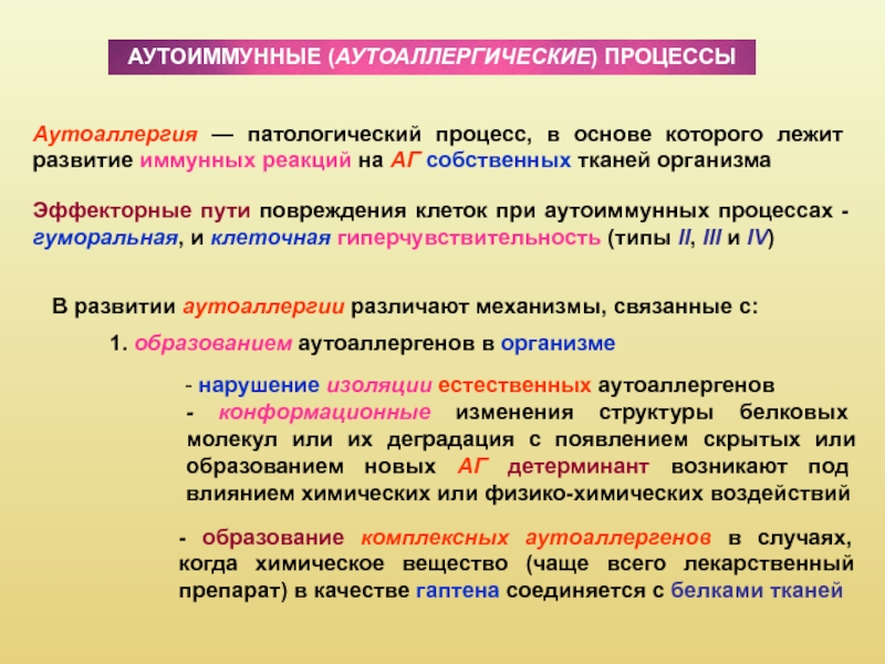 Патология процесс. Аутоаллергические процессы. Механизмы развития аутоаллергии. Аутоаллергия: аутоаллергены.. Аутоиммунные заболевания и аутоаллергия.