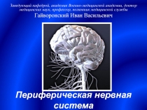 29 ЛК Морфология периферической  НС.ppt