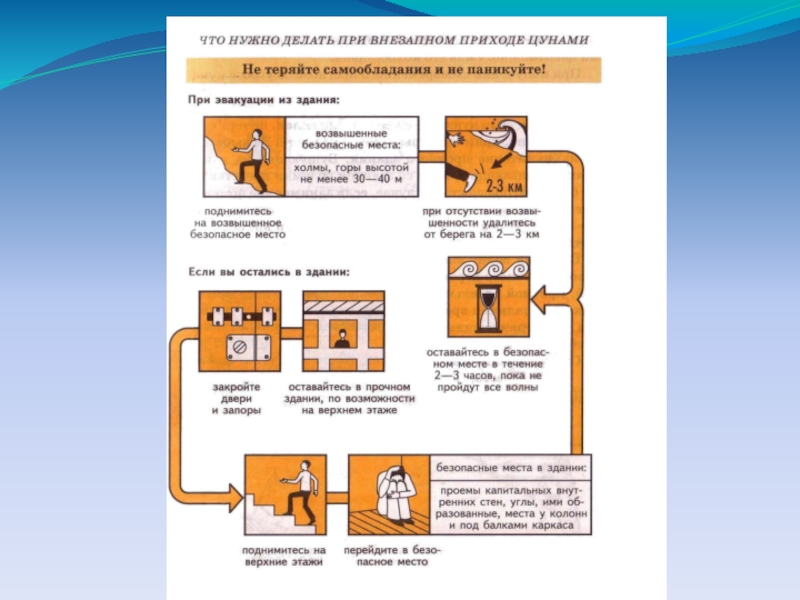 Безопасные действия при цунами. Действия при ЦУНАМИ В здании. Что делать при наступлении ЦУНАМИ. При внезапном приходе ЦУНАМИ. Действие населения при внезапном приходе ЦУНАМИ.