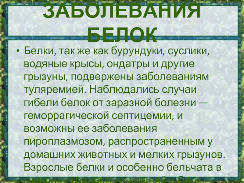 Белки заболевания. Болезни передающиеся от белок.