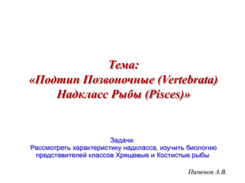 Пименов А.В.
Тема: Подтип Позвоночные ( Vertebrata ) Надкласс Рыбы ( Pisces