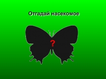 Отгадай насекомое