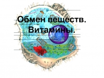 Обмен веществ. Витамины