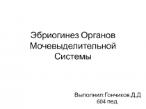 Эбриогинез органов мочевыделительной системы