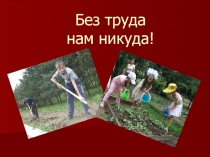 Труд