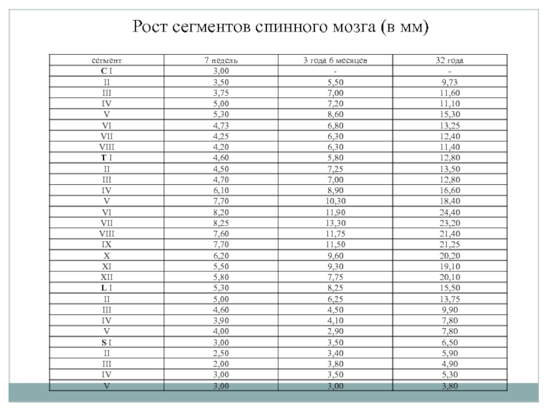 Мозгов рост