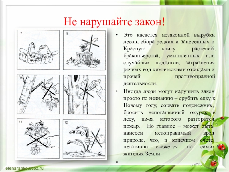 Закон природы это. Нарушение законов природы. Не нарушайте закон. Не нарушайте закон о природе. Нарушая законы природы.