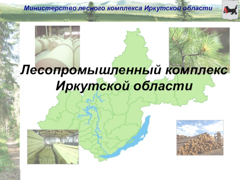 Лесопромышленный комплекс  Иркутской области