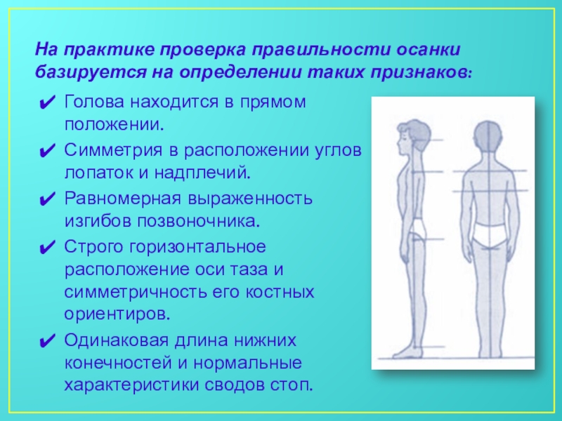 Нарушение осанки и плоскостопие презентация 8 класс биология