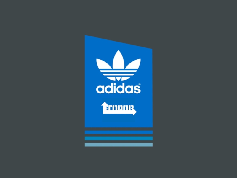 Adidas4 (1)