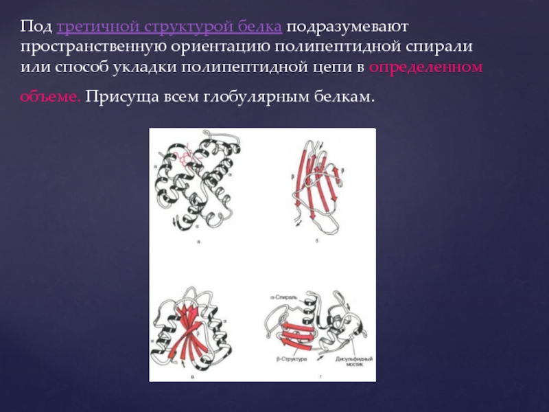 Разрушение третичной и вторичной структуры белка это. Пространственная структура белка. Пространственная укладка белков третичная структура. . Под третичной структурой белка подразумевают:. Третичная структура белка это способ укладки.