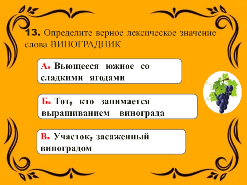 13. Определите верное лексическое значение слова ВИНОГРАДНИКБ. Тот, кто занимается выращиванием виноградаВ. Участок, засаженный виноградомА. Вьющееся