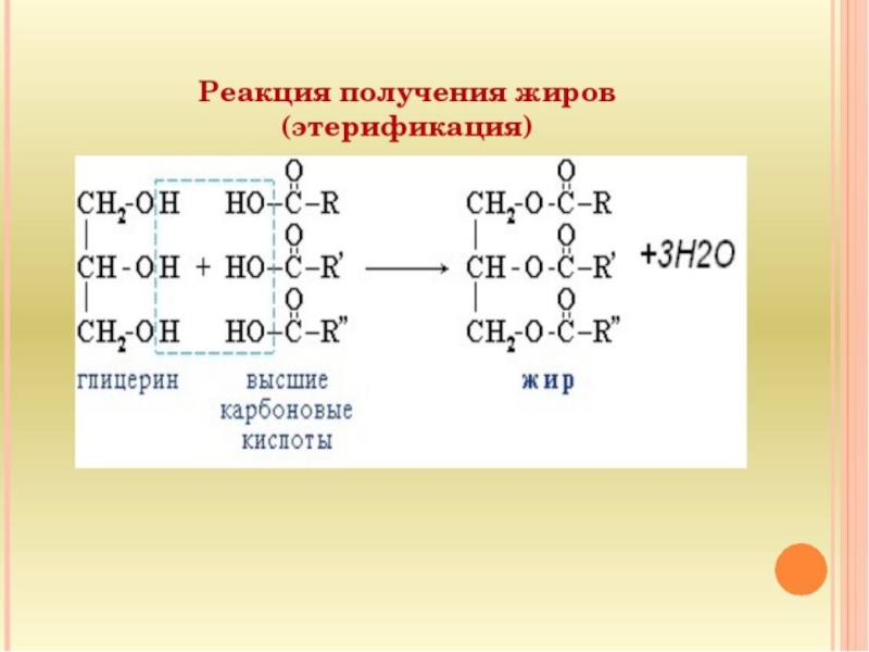 В результате гидролиза образца природного жира получена кислота